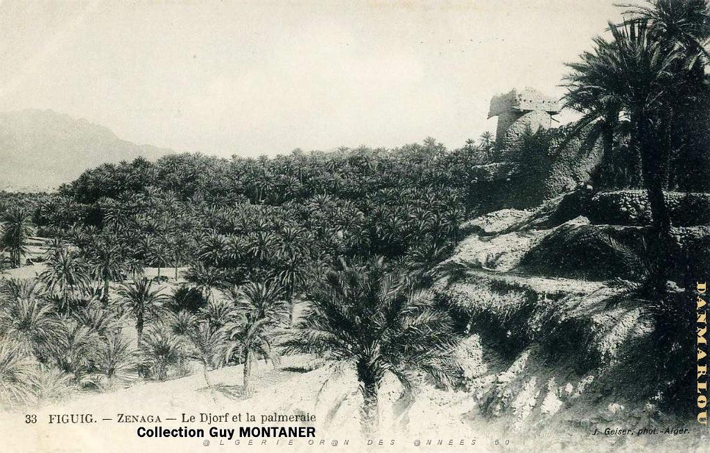 FIGUIG 007- COLLECTION MONTANER_2.jpg